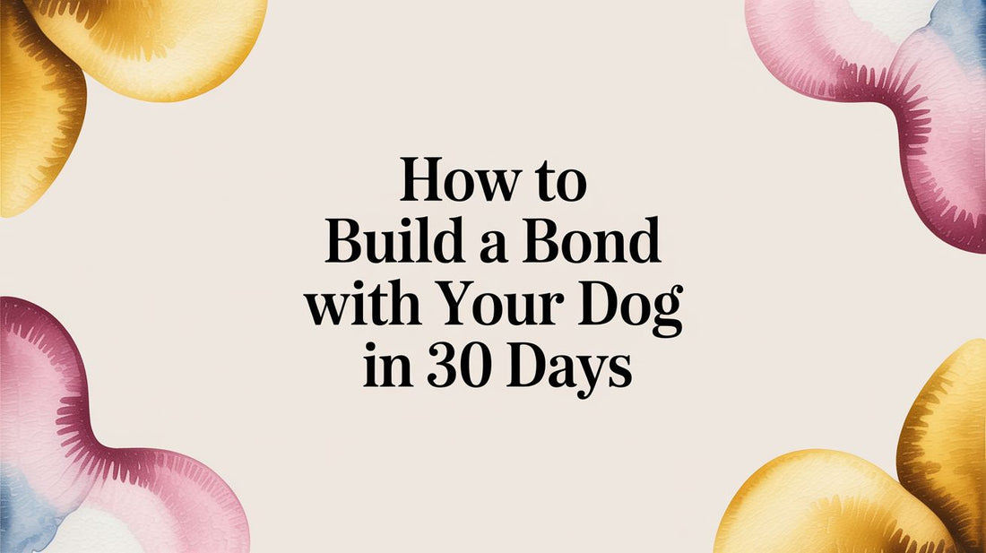 How to Build a Bond With Your Dog in 30 Days