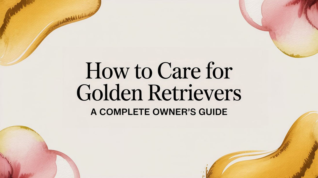 A Golden Retriever Owner's Guide to a Happy and Healthy Dog