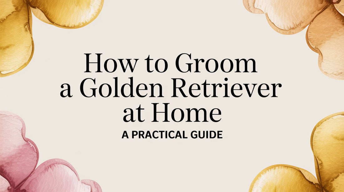 How to Groom Your Golden Retriever at Home: A Practical Guide