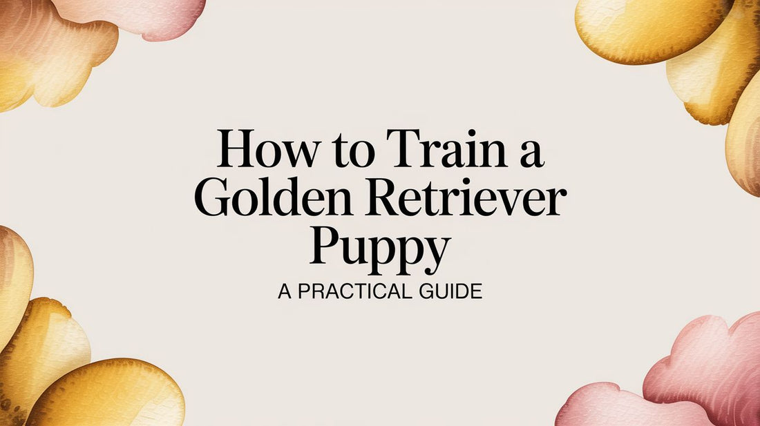 How to Train a Golden Retriever Puppy: A Practical Guide