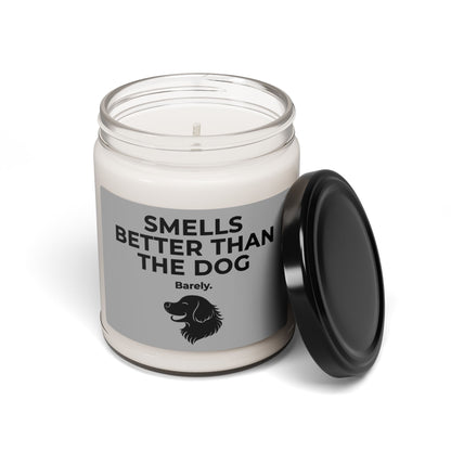 Dog Smells Better | Soy Candle