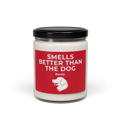 Dog Smells Better | Soy Candle