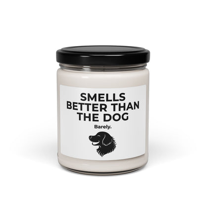 Dog Smells Better | Soy Candle