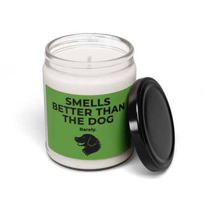 Dog Smells Better | Soy Candle