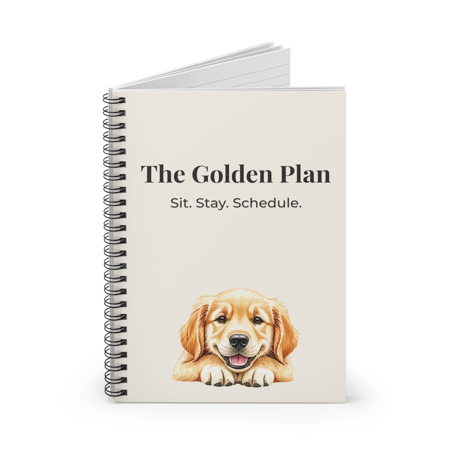 The Golden Plan | Notebook