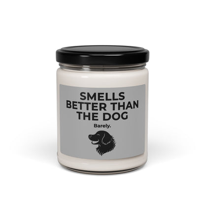 Dog Smells Better | Soy Candle