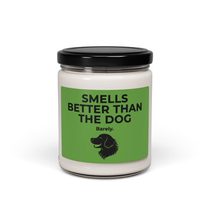 Dog Smells Better | Soy Candle