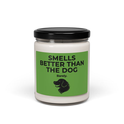 Dog Smells Better | Soy Candle